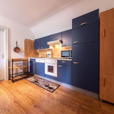 Les Quatre Vents Appartamento Thannenkirch Esterno foto