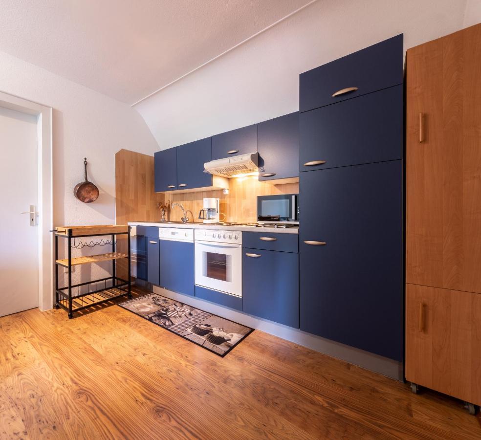 Les Quatre Vents Appartamento Thannenkirch Esterno foto